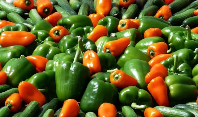 6 Potential Nutritional Benefits of Hatch Chile Peppers